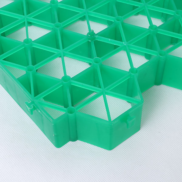 91看片在线入口